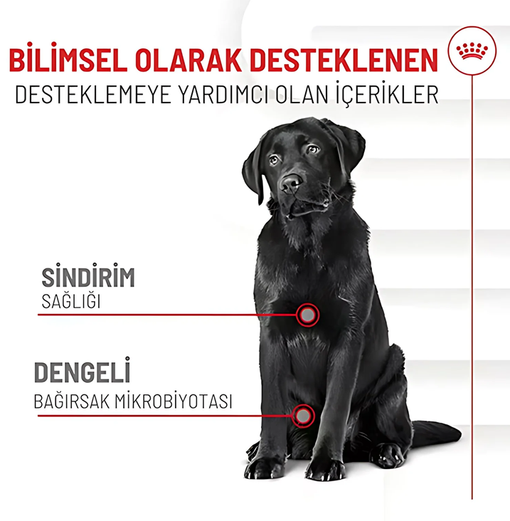 ROYAL CANİN DOG DIGESTION ADULT SUP. 160 GR*6
